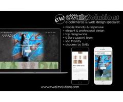 eWallz Web Design Shah Alam