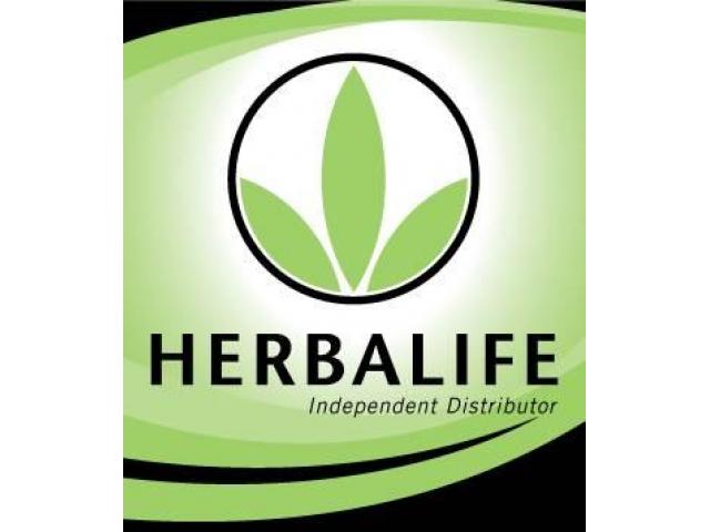 Herbalife Independent Distributor